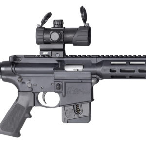 S&W MP1522 22LR 16B 10R OR