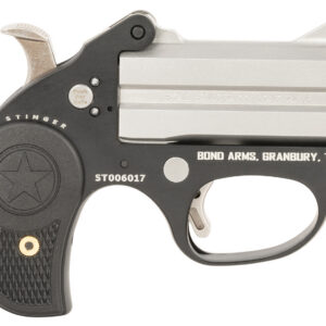 Bond Arms BAST Stinger 22 LR 2rd, 3" Double Matte Stainless Steel Barrel, Anodized Aluminum Frame, Black Nylon Grip, Rebounding Hammer, Crossbolt Safety