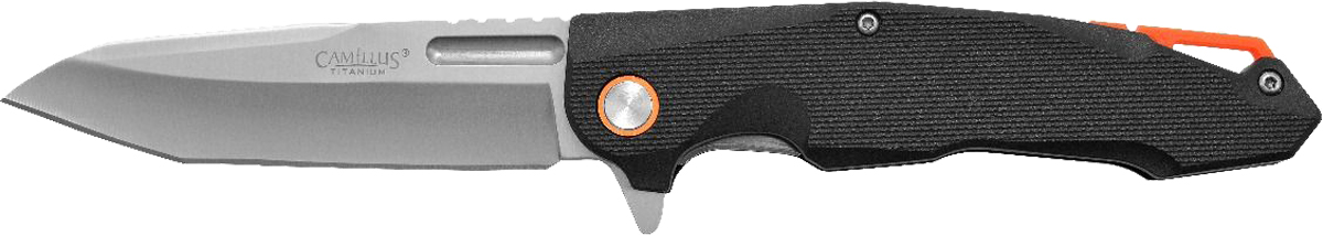 CAM REGENT