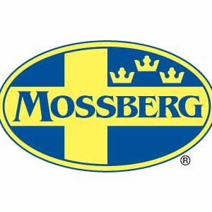 MOSSBERG PATRIOT 243WIN BL/SS 22" TB  #