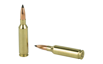 NOSLER VG 6MM CM 70GR FB TIP 20/200 - Image 4