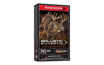 WIN BLSTC TIP 243WIN 95GR 20/200